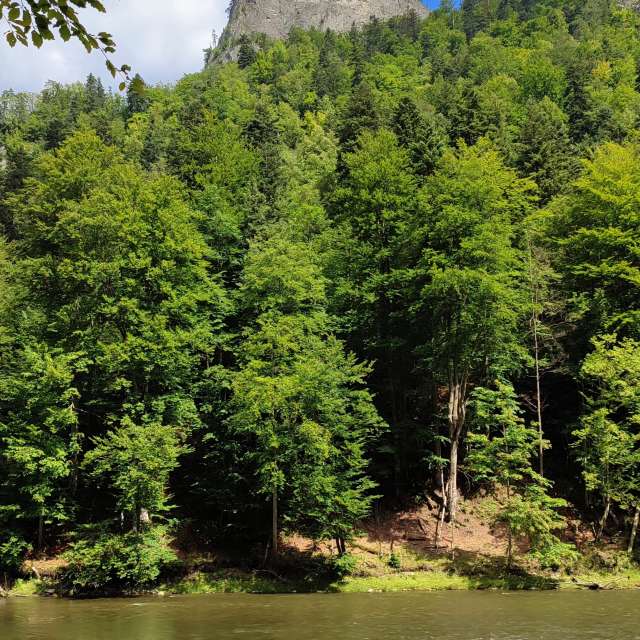 Weather forecasts with beautiful photos by Romek58