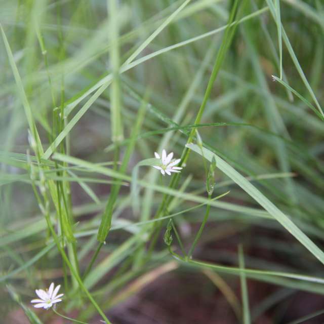 Weather forecasts with beautiful photos by urubu