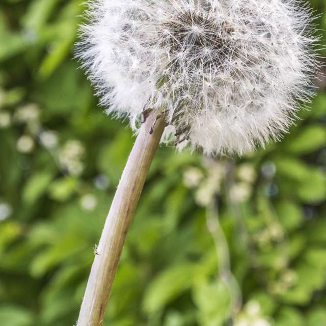 Weather forecasts with beautiful photos by G_3233