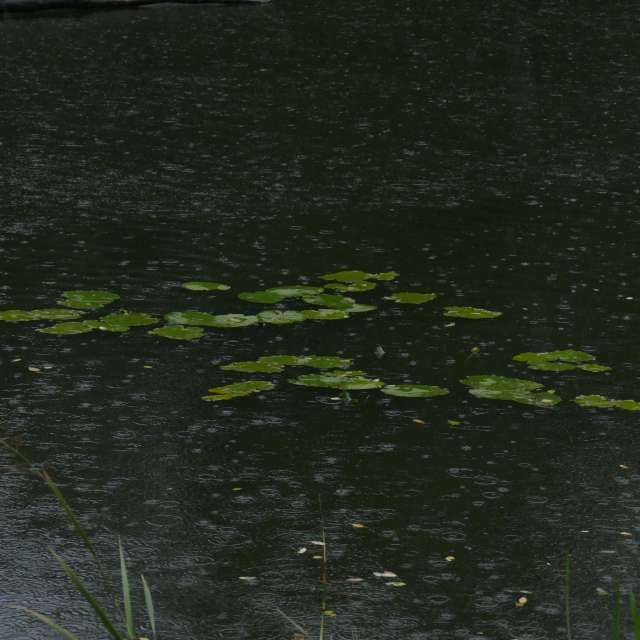 Fotos Lago. Previsões do tempo com lindas fotos de Vasek325 em Praha 12