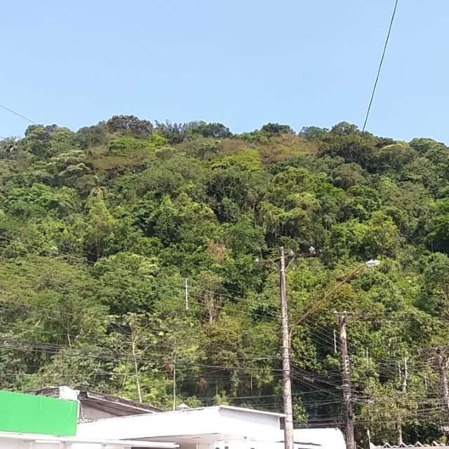 天气预报，带davidonefighter精美的照片