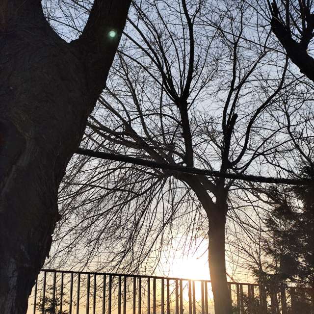 Wettervorhersagen mit schönen Fotos von M Paz Basanta Costea