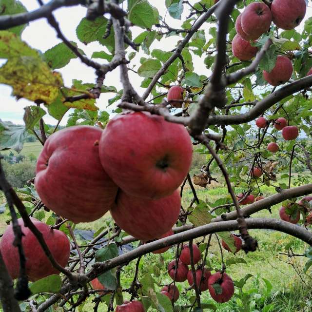 Weather forecasts with beautiful photos by urashm