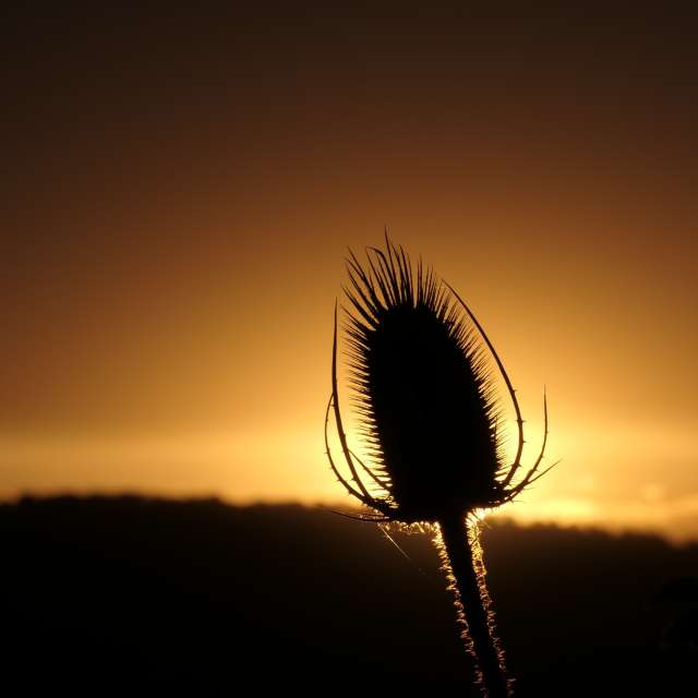 Pronósticos del tiempo con hermosas fotos de Richtoldi