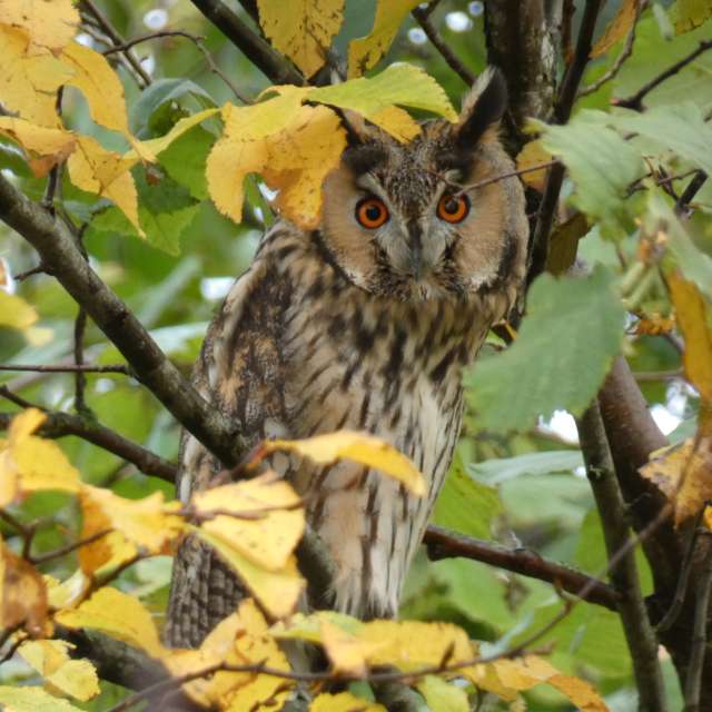 Прогнозы погоды с чудесными фотографиями, сделанными fwerner