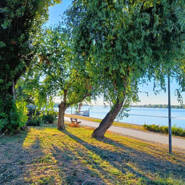 天气预报，带Doc_H精美的照片