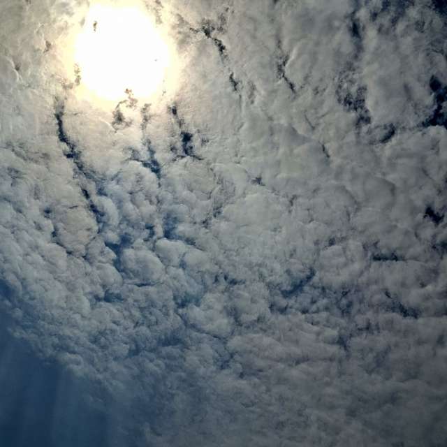 Photos Troupeau. Prévisions météo avec de superbes photos de Wen-ya Huang de Kaohsiung