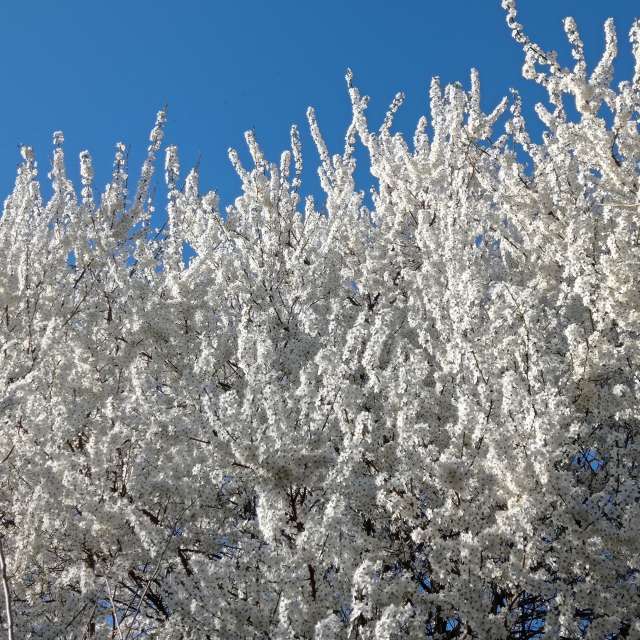 Photos Ciel. Prévisions météo avec de superbes photos de Anna Kazimiera Tes de Vratislavie