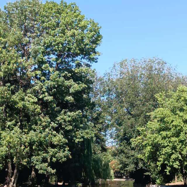 Fotos del Bote. Pronósticos del tiempo con hermosas fotos de YanBog en București