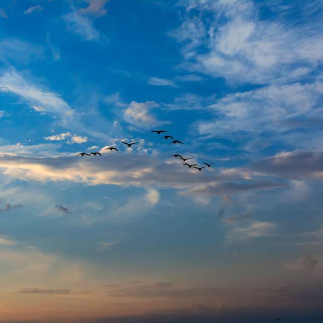 Clouds. Weather forecasts with beautiful photos by alknex Photos in Ukraine