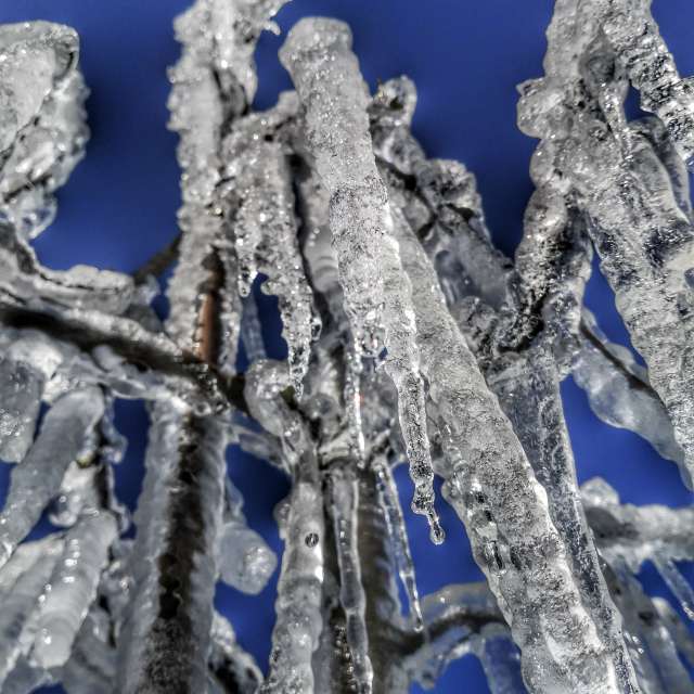 Weather forecasts with beautiful photos by deine_augenblicke_tirol