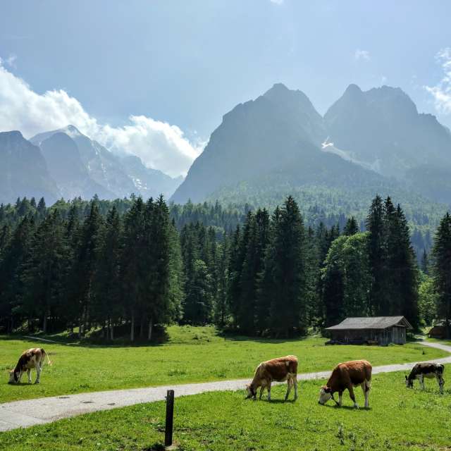 accoteの美しい写真による天気予報