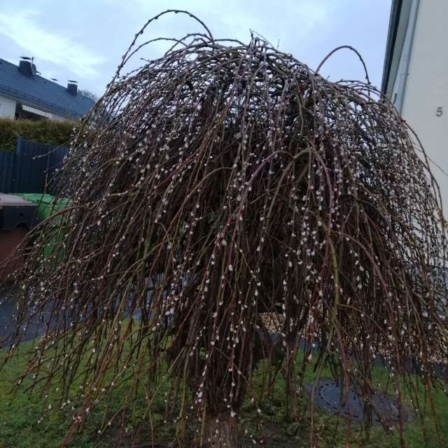 Walking. Weather forecasts with beautiful photos by Lara Schwarz Photos in World