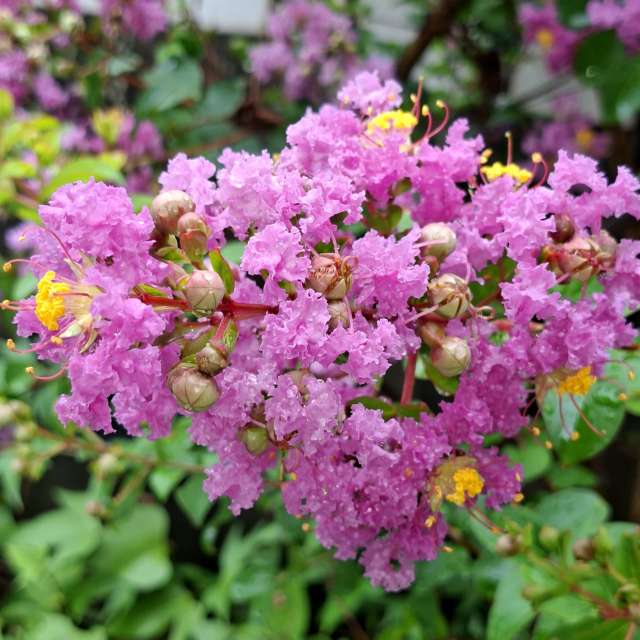 Photos Banc.banc. Prévisions météo avec de superbes photos de Wen-ya Huang de Kaohsiung