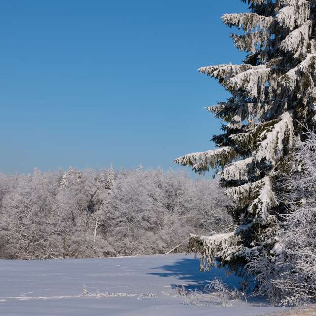 Прогнозы погоды с чудесными фотографиями, сделанными Aleh_Narushevich