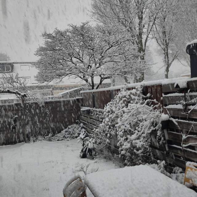 Prévisions météo avec de superbes photos de Rosaja