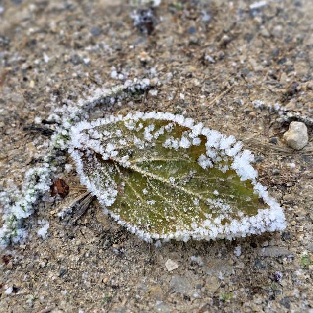 Wettervorhersagen mit schönen Fotos von Hela