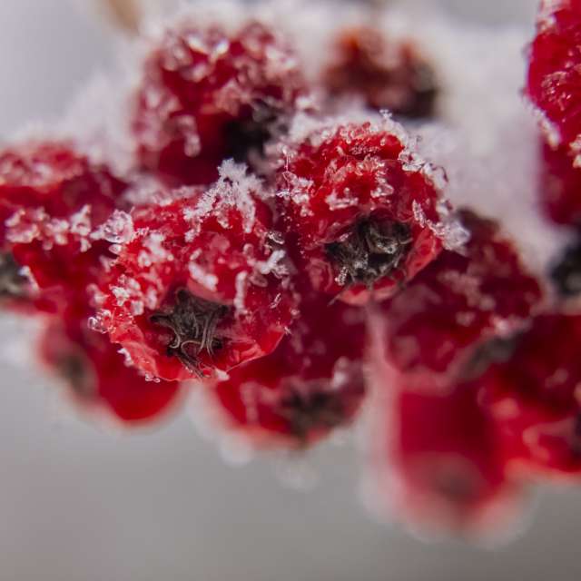 Фотографии Погоды в Мир. Прогнозы погоды с чудесными фотографиями, сделанными Nymph542