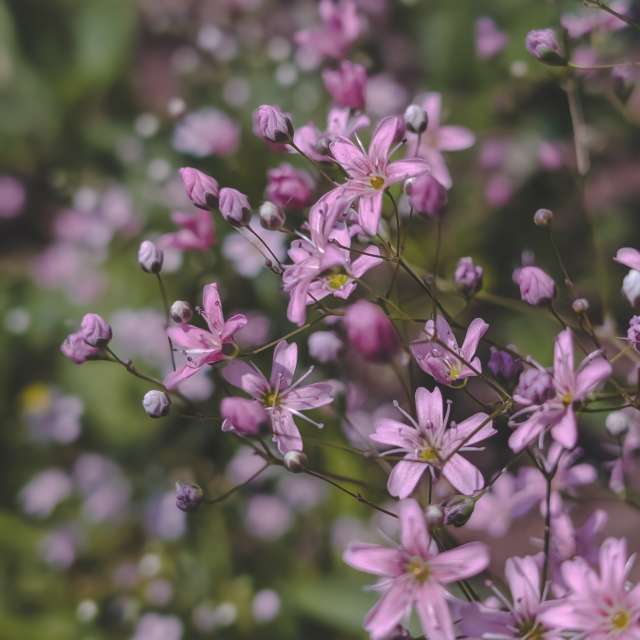 Blue. Weather forecasts with beautiful photos by evigalar Photos in Khmelnytskyi
