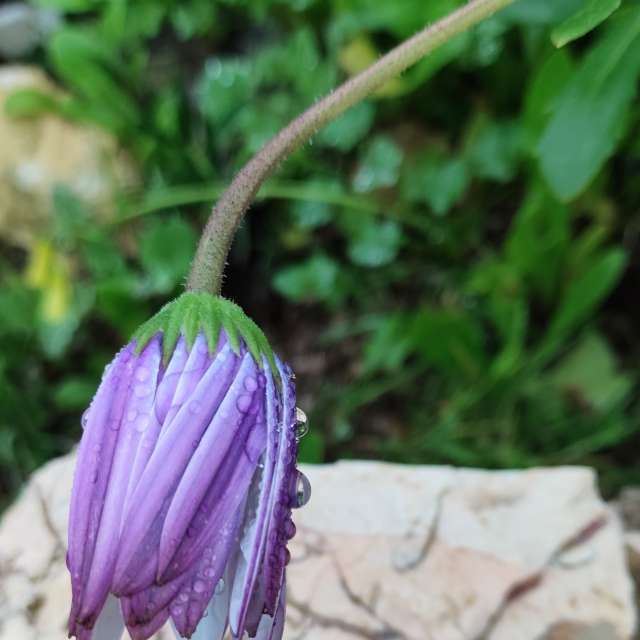 Weather forecasts with beautiful photos by Brtd