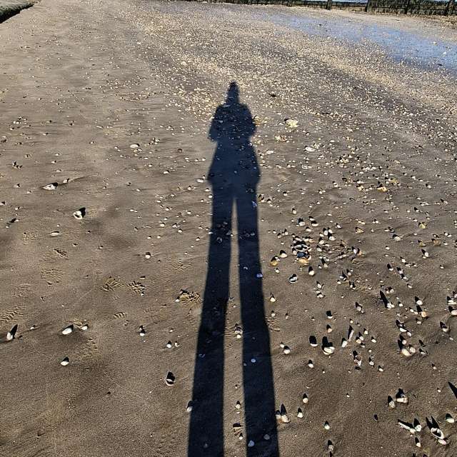 Lolliの美しい写真による天気予報