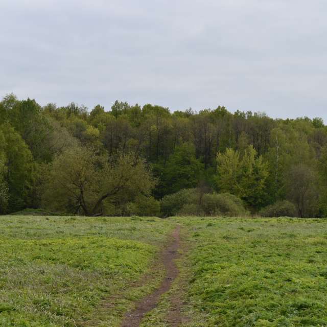 Pasture. Weather forecasts with beautiful photos by Amanda_and_Valdemar_Che Photos in Izmaylovo District