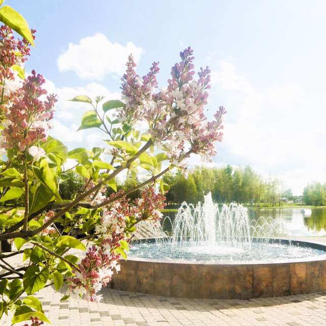 Riding. Weather forecasts with beautiful photos by AlmaGenute53 Photos in Lithuania