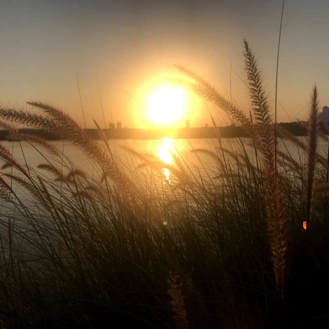 Weather forecasts with beautiful photos by phantran