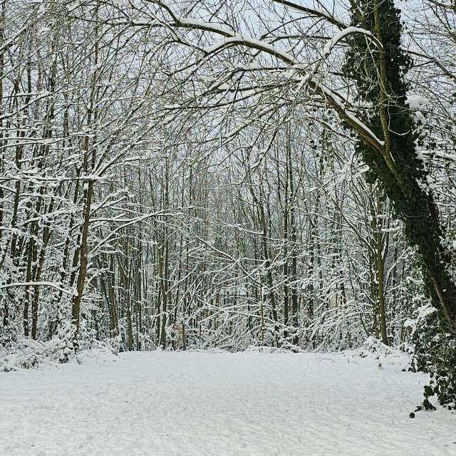 Jung. Wettervorhersagen mit schönen Fotos von Seni Fotos Velbert