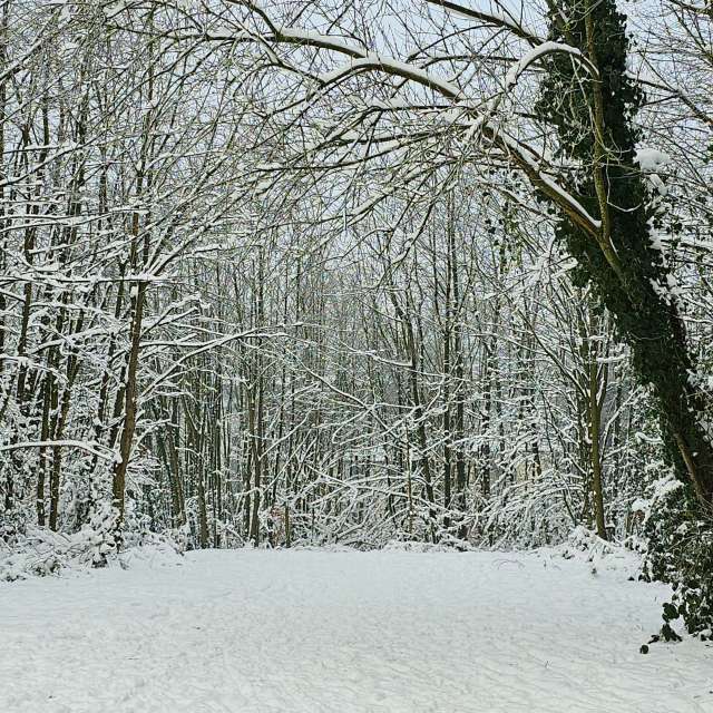 Fotografije Nagib. Vremenske prognoze s prekrasnim fotografijama Seni u North Rhine-Westphalia