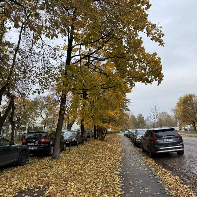 Truck. Weather forecasts with beautiful photos by Svet-Lana Photos in Rīga