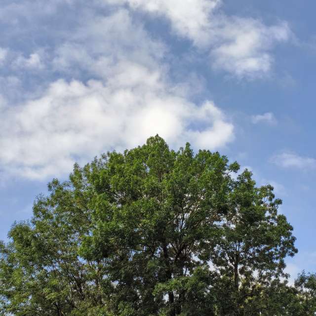 Prévisions météo avec de superbes photos de YanBog