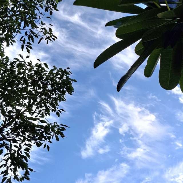 Photos Avion. Prévisions météo avec de superbes photos de Wen-ya Huang de Kaohsiung