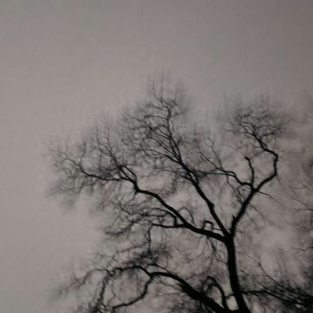 Previsões do tempo com lindas fotos de YanBog