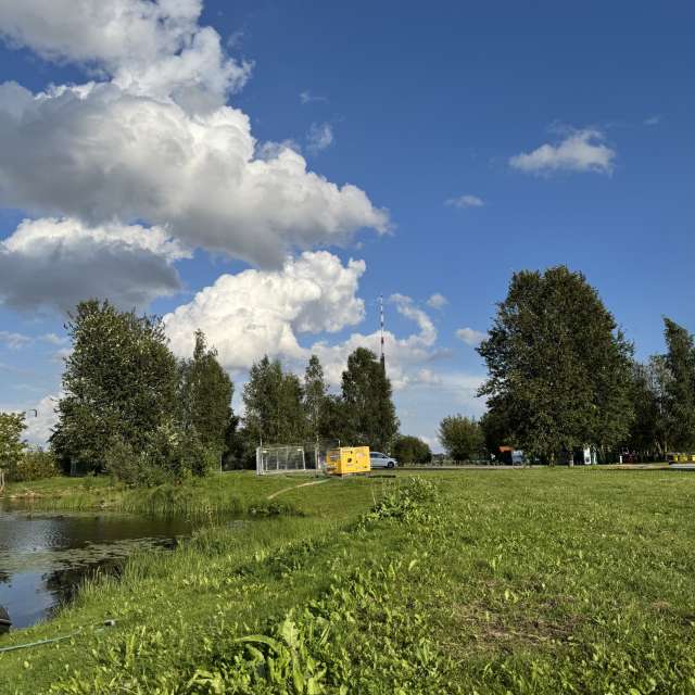 Grass. Weather forecasts with beautiful photos by Svet-Lana Photos in Rīga