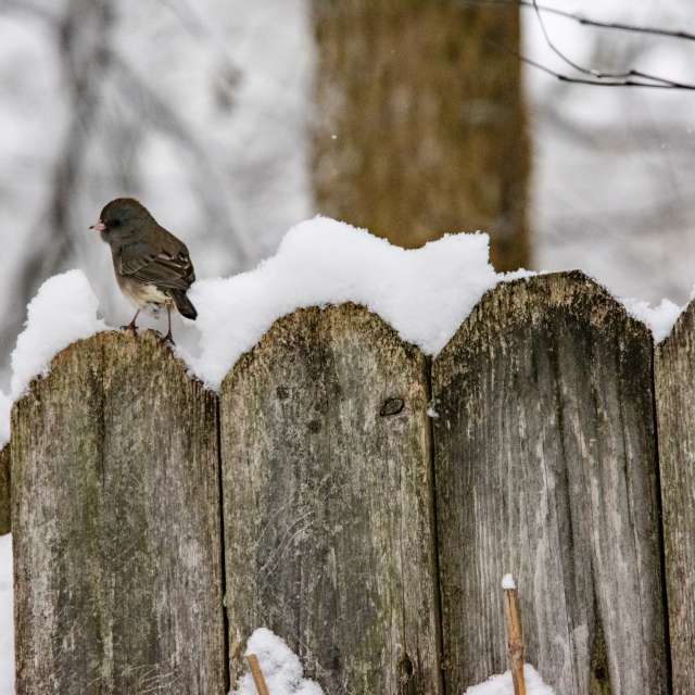 krantzjhの美しい写真による天気予報