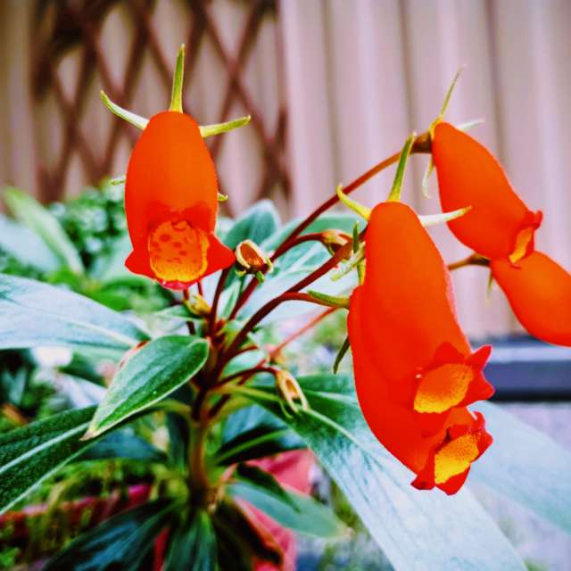 Weather forecasts with beautiful photos by Christinam01