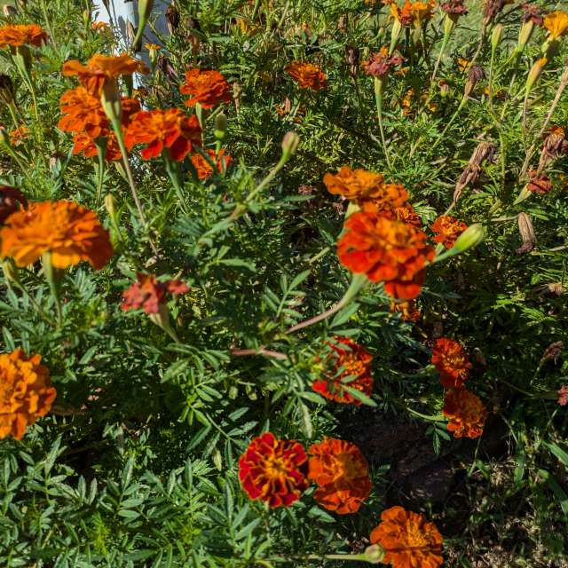 Weather forecasts with beautiful photos by jeannecozzarin