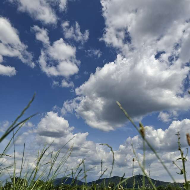 天气预报，带Aleksandar精美的照片