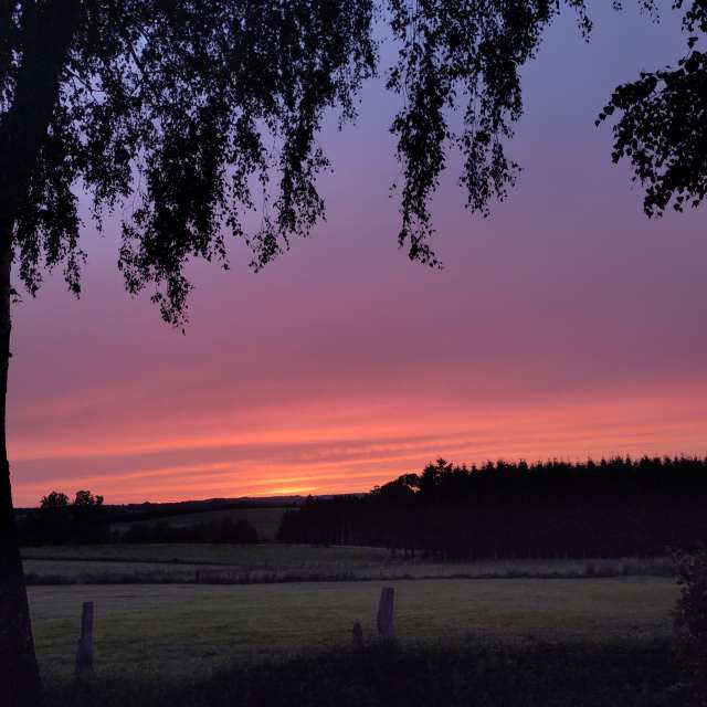 Prévisions météo avec de superbes photos de Rosaja