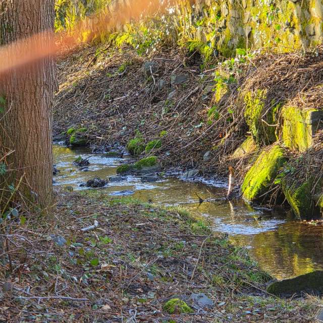Prévisions météo avec de superbes photos de Seni