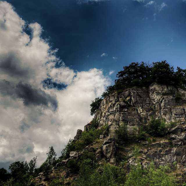 Fotos del árbol. Pronósticos del tiempo con hermosas fotos de HeavyMetalHero en Salzhemmendorf