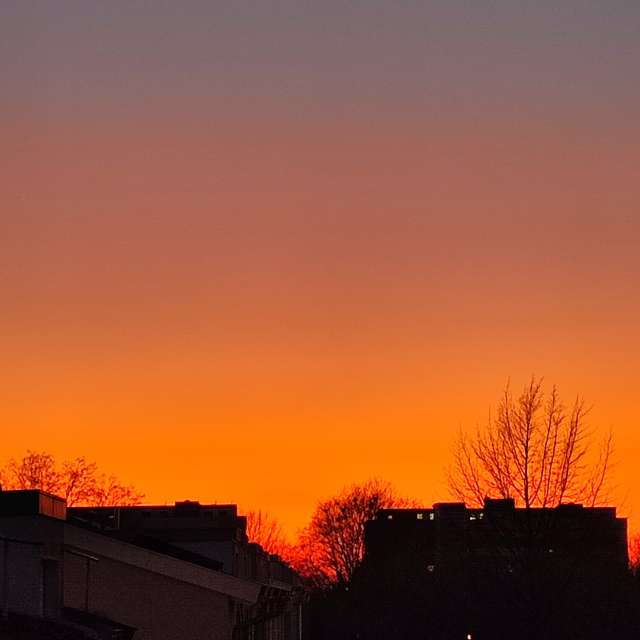 Orange. Weather forecasts with beautiful photos by Tercis Photos in Ettlingen