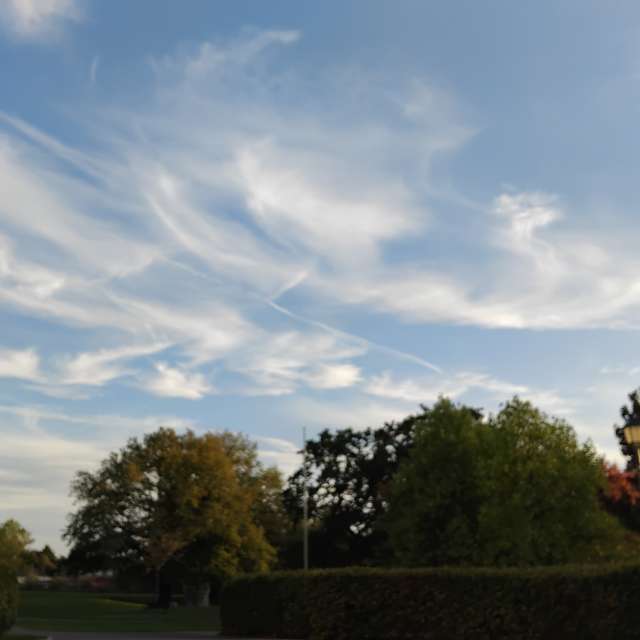 天气预报，带Lea71精美的照片