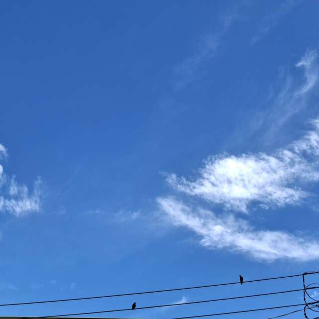 Fotos Cavalgando. Previsões do tempo com lindas fotos de Wen-ya Huang em Kaohsiung City