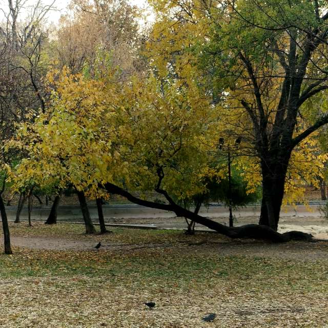 Fotos del Banco.banco. Pronósticos del tiempo con hermosas fotos de YanBog en București