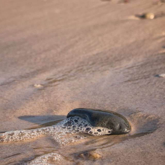 天气预报，带Axys精美的照片