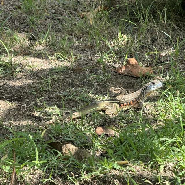 Weather forecasts with beautiful photos by web3dao