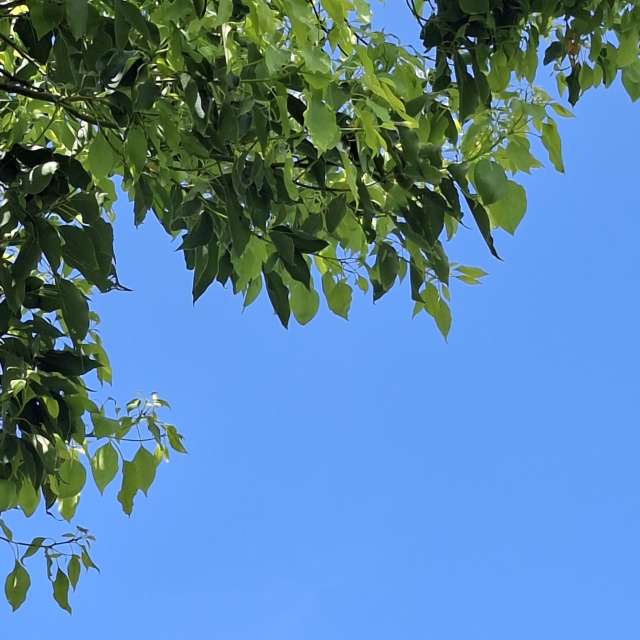 Photos Beach. Prévisions météo avec de superbes photos de Wen-ya Huang de Kaohsiung