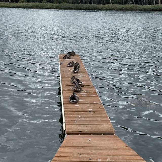 天气预报，带man-of-the-sea-and-land精美的照片